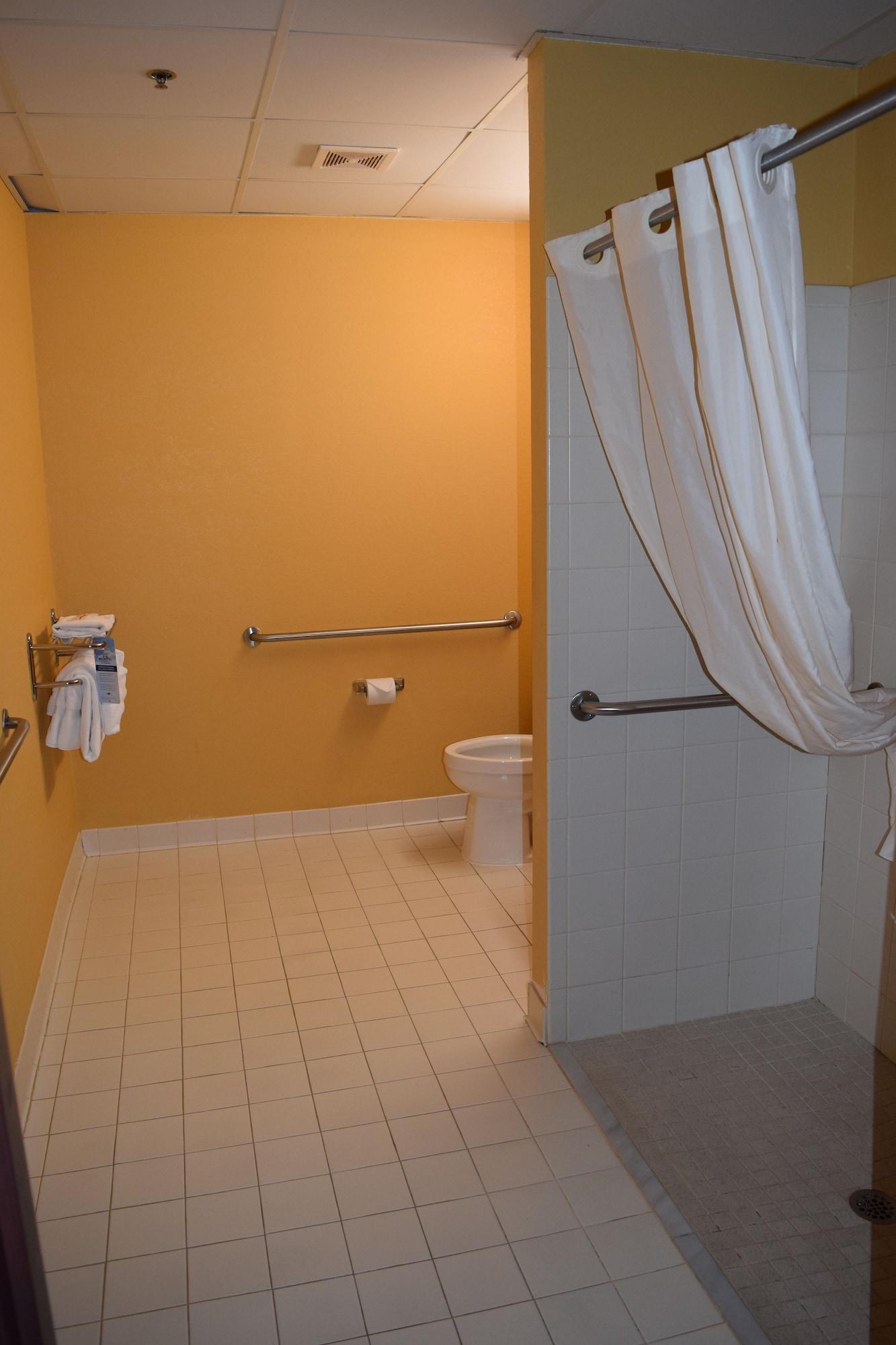 Microtel Inn & Suites By Wyndham Rock Hill/Charlotte Area מראה חיצוני תמונה
