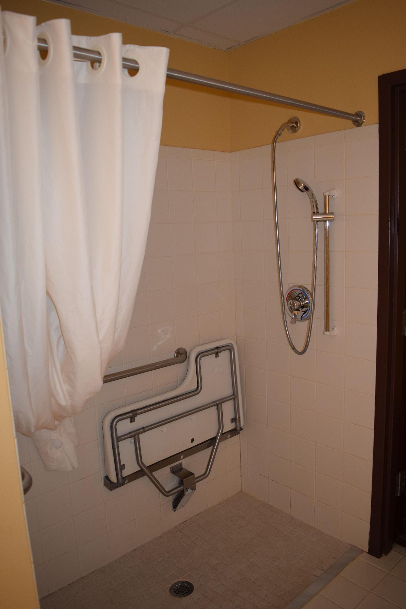 Microtel Inn & Suites By Wyndham Rock Hill/Charlotte Area מראה חיצוני תמונה